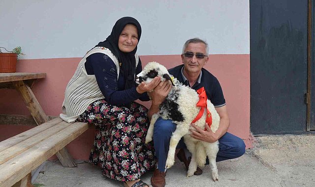 &#039;Anne&#039; diye meleyen kuzu ile sahibinin dostluğu şaşırtıyor