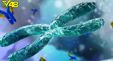 500 erkekten birinde bulunuyor