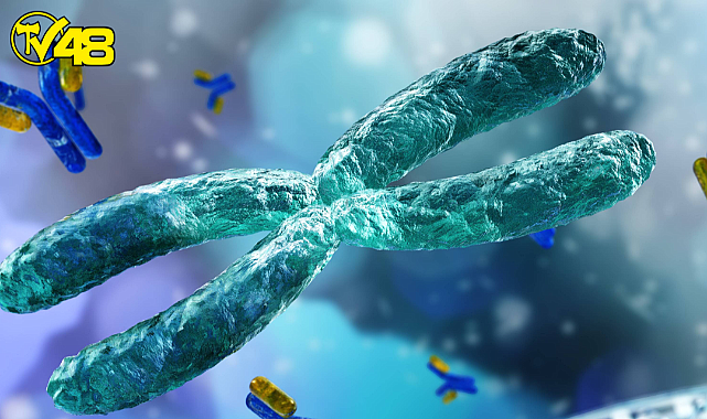 500 erkekten birinde bulunuyor