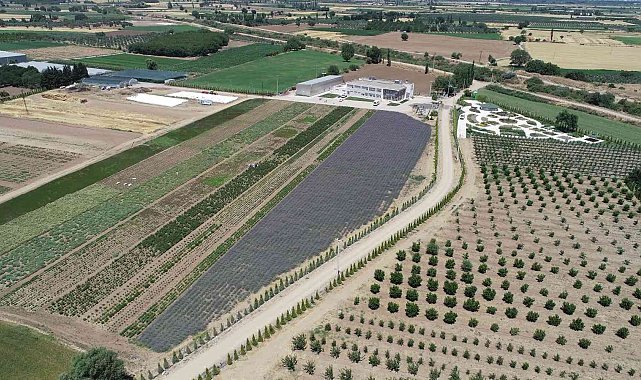 A&#039;dan Z&#039;ye aromaterapi BAÇEM&#039;de konuşulacak