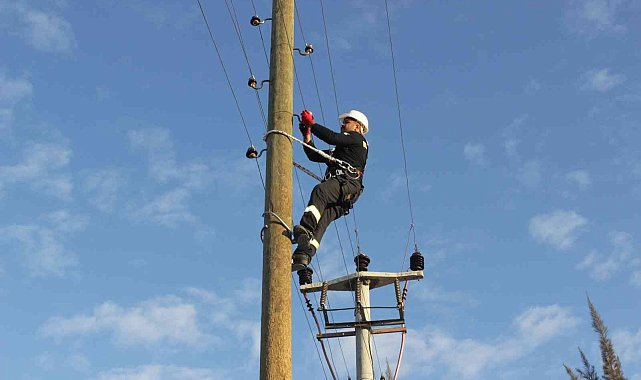 AEDAŞ, vatandaşları elektrik şebekelerine müdahale edilmemesi konusunda uyardı