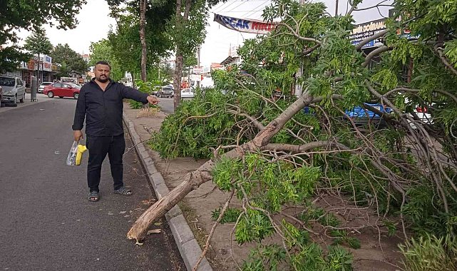 Afyonkarahisar'da olumsuz hava şartları devam ediyor