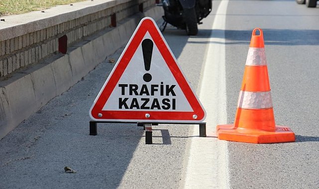 Ağaca çarpan otomobilin sürücüsü hayatını kaybetti