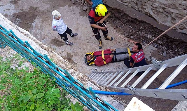 Ağaçtan dereye düşen şahsı itfaiye kurtardı