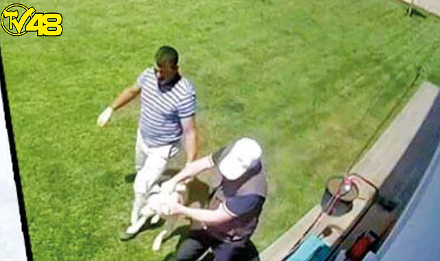 Aile evde yokken belediye ekipleri bahçesindeki köpeklerini uyutarak götürdü !