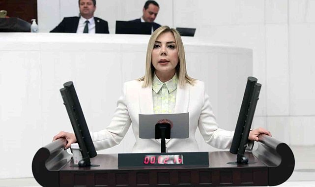 AK Partili Milletvekili Gökcan: "HDP şiddetin kendisidir"