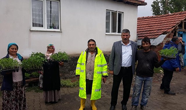 Akdağmadeni'nde doludan etkilenen köylere 10 bin adet sebze fidesi dağıtıldı