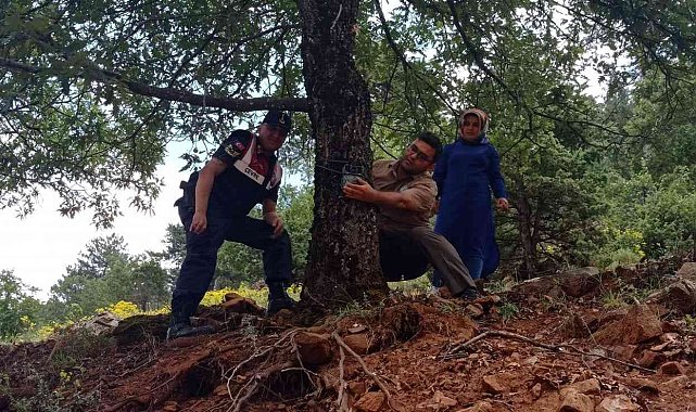 Aladağlar Milli Parkına fotokapan desteği