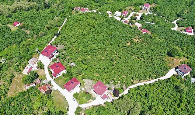 Altınordu'da 41 mahallede beton yol çalışmaları tamamlandı