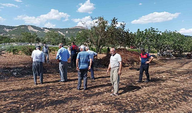 Anız yangınında 15 ton saman kül oldu
