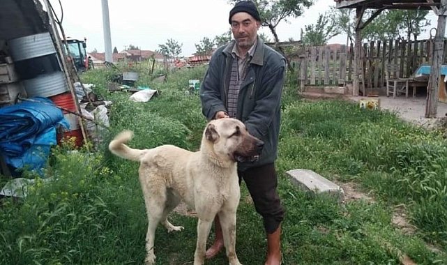 Arazi kavgasında baba yaralandı, oğlu hayatını kaybetti