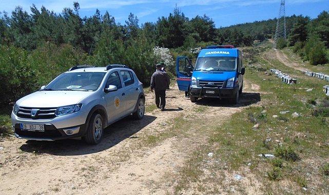 Arıcılar Aydın&#039;da ayılardan değil hırsızlardan şikayetçi