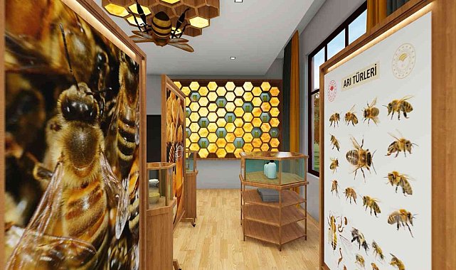 Arının yaşamını sanal ortama taşıyacak "Kafkas Arı Konağı" bitme aşamasında