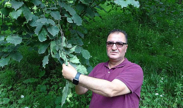 Arslantürk: &quot;Pandemi fındık tarımını bize yeniden öğretti&quot;