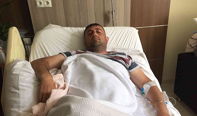 Artvin'de kızgın boğa sahibini hastanelik etti