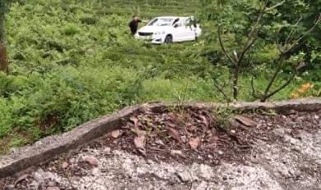 Artvin'de otomobil uçurumdan çay tarlasına düştü: 1 ölü, 2 yaralı