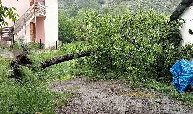 Artvin&#039;de şiddetli rüzgar ağaçları devirdi, çatıları uçurdu