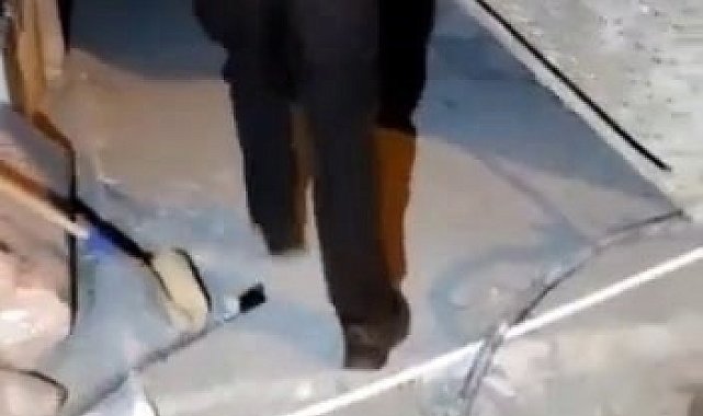 Asansör boşluğuna düşen köpeğin imdadına bekçiler yetişti