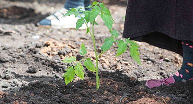 Ata tohumları atalarımızın ellerinden toprakla buluştu
