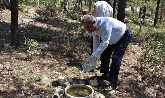 Atatürk Ormanına hayvanlar için yem bırakıldı