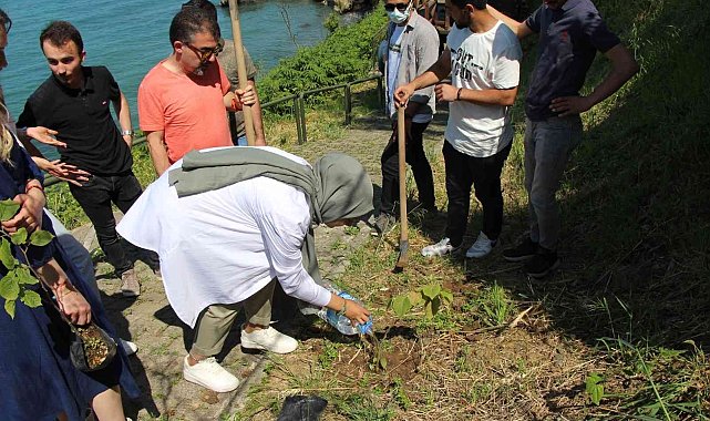 Avrasya Üniversitesi'nde yerleşkesinde fidan dikimi