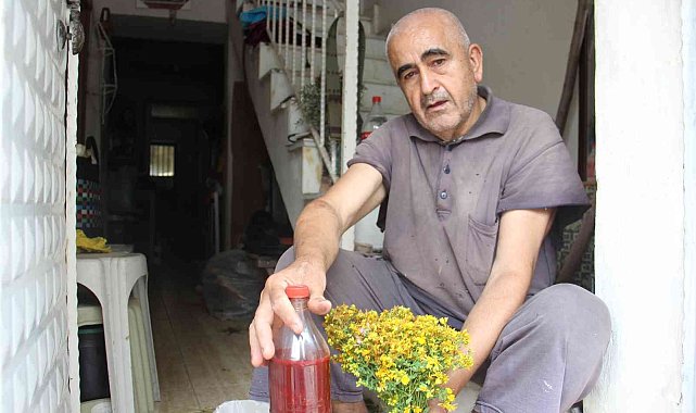 Aydın'da, asırlık gelenekle kantaron yağı yapım sezonu başladı