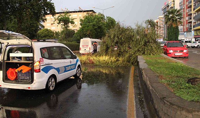 Aydın'da etkili olan fırtına ortalığı birbirine kattı