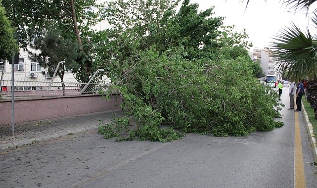Aydın'da kuvvetli rüzgar ve fırtına bekleniyor