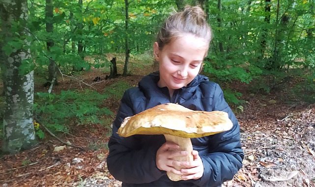 Ayı ve sarıkız mantarı İtalyan pizzası, Fransız çorbalarına lezzet katıyor