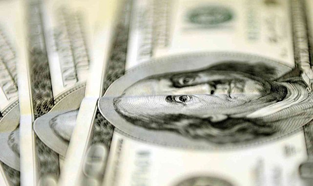 Aylık en yüksek reel getiri dolarda oldu