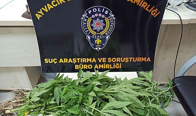 Ayvacık&#039;ta uyuşturucu operasyonunda 1 kişi tutuklandı