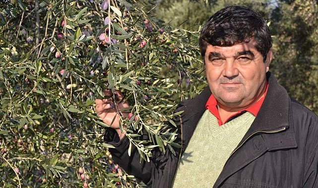 Ayvalık zeytinine platin ödül