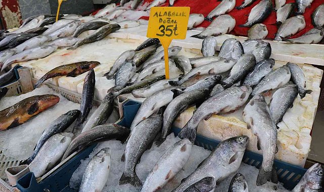 Balıkçılar yeni sezonu iple çekiyor