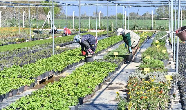 Balıkesir'i Türkiye'nin tıbbi aromatik bitki üretim üssü haline gelecek