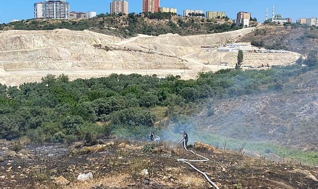 Bandırma'da çıkan yangında 4 dönüm arazi küle döndü