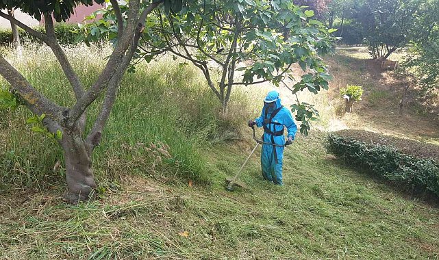Başiskele'nin yeşil alanlarında yoğun çalışma