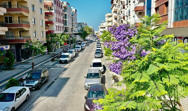 Başkan Atabay; &quot;Didim her geçen gün güzelleşiyor&quot;