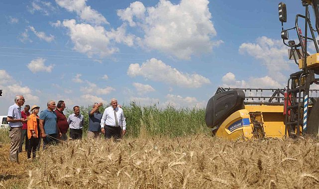Başkan Atay'dan buğday hasadı