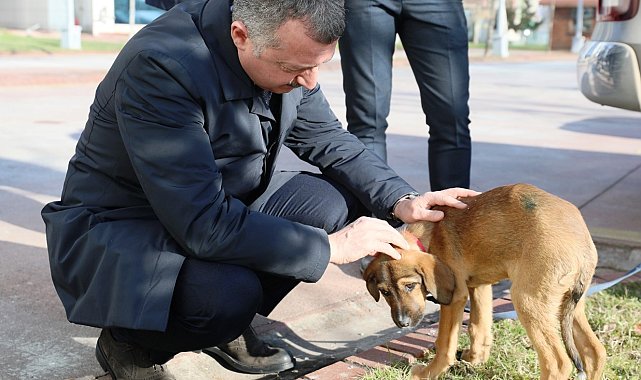 Başkan Büyükakın: "Satın almayın sahiplenin"
