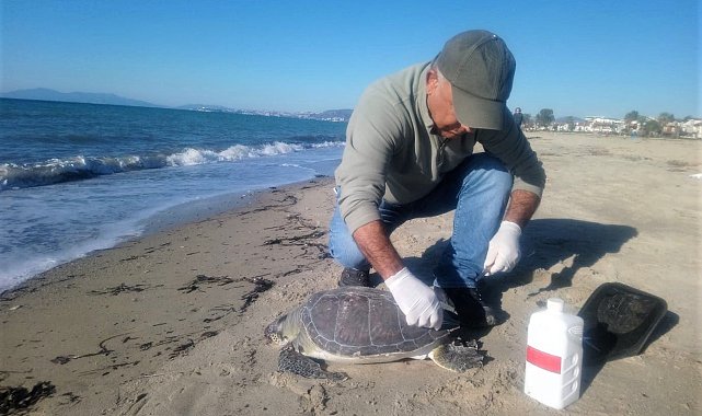 Başkan Sürücü: "Denizlerimiz çöp toplama alanı değil"