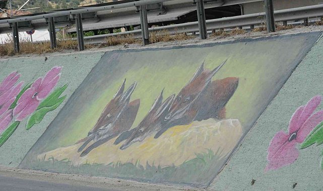 Başkan Yaman&#039;ın tilki sevgisi