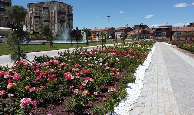 Battalgazi&#039;deki gül bahçesinde sona yaklaşıldı