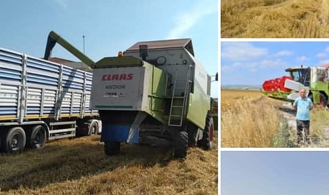 BAÜN&#039;de 203 ton arpa hasadı yapıldı