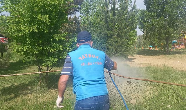 Bayburt Belediyesi ilaçlama mesaisine devam ediyor