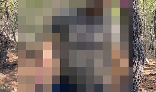 Belediye işçisi ağaçta asılı halde bulundu