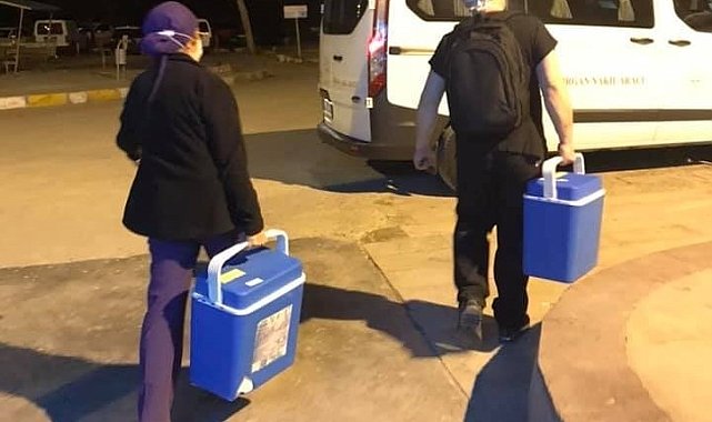 Beyin ölümü gerçekleşen yaralının organları 3 hastaya umut oldu