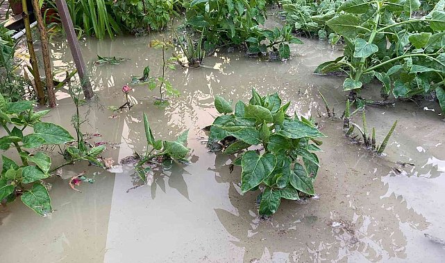 Beypazarı&#039;nda evleri ve ekili araziyi sel vurdu