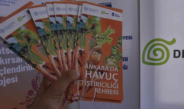 Beypazarlı üreticilere havuç üretim teknikleri eğitimi verildi