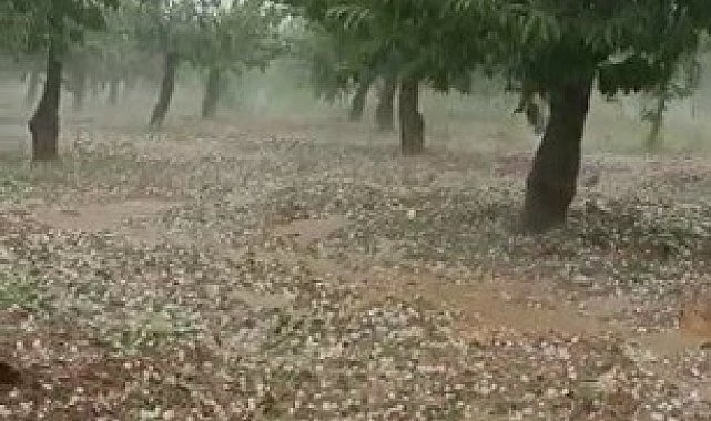 Bilecik&#039;te ceviz büyüklüğünde dolu yağdı