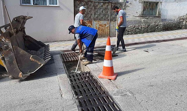 Bilecik&#039;te mazgallarda temizlik